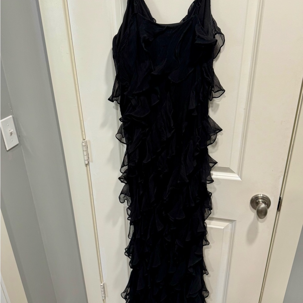 Incredible BHLDN GIA dress from Anthropologie size 6 - Picture 3 of 9